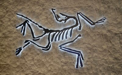 Luxury Metal Backlit Channel Letters For ARC’TERYX